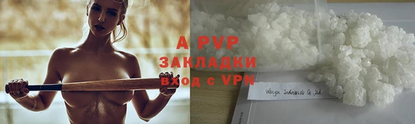 стаф Алексин