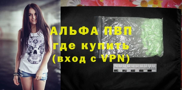 стаф Алексин