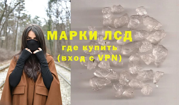 стаф Алексин